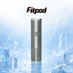 Fitpod 愛馬仕皮革主機